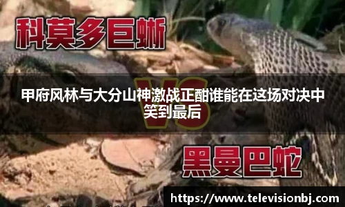 甲府风林与大分山神激战正酣谁能在这场对决中笑到最后